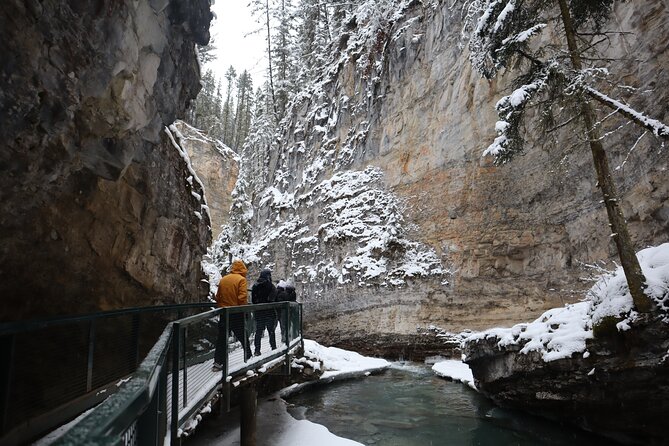 Johnston Canyon, Lake Louise & Banff: Small-Group Day Tour - Should You Book This Banff Day Tour?