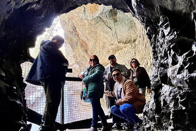 Johnston Canyon, Lake Louise & Banff: Small-Group Day Tour - Banff Avenue for Lunch and Bow Falls for a Quick Wow