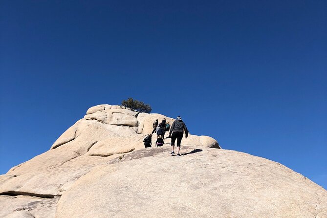 Joshua Tree National Park Driving Tour - Why this Joshua Tree driving day makes sense