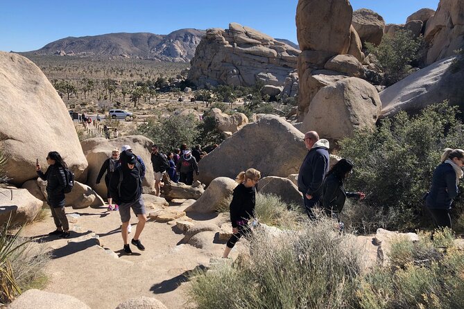 Joshua Tree National Park Driving Tour - The van schedule: 5 hours, clear pacing, and what it feels like