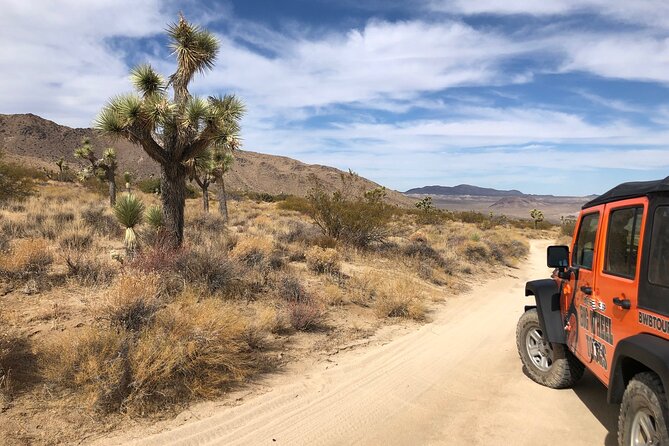 Joshua Tree National Park Offroad Tour - Stop 1: Joshua Tree National Park and the Backcountry Views