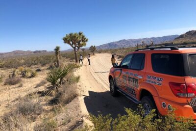 Joshua Tree National Park Offroad Tour - Off-Road Access Without the Chaos: What This Tour Really Does