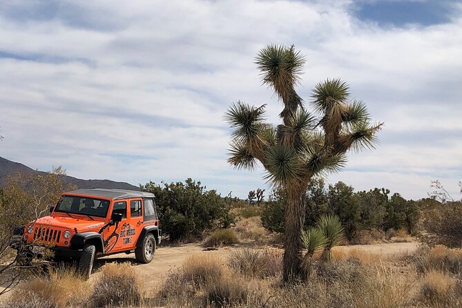 Joshua Tree National Park Offroad Tour - Value Check: What’s Included and How That Helps