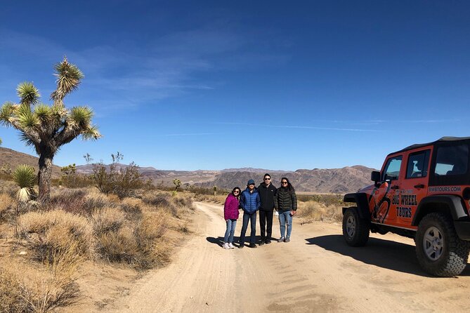 Joshua Tree National Park Offroad Tour - Best For Who? (And Who Might Want a Different Plan)