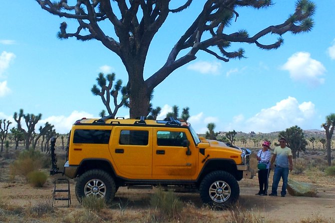 Joshua Tree National Park Scenic Tour - Why This Joshua Tree Scenic Tour Feels Like a Quick Field Trip