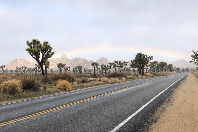 Joshua Tree National Park Scenic Tour - Cap Rock Trail: Fault-Line Forces and Optional 30-Minute Walking