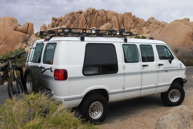 Joshua Tree National Park Scenic Tour - Intersection Rock: A Quick Stop for Climbers in the 3rd Dimension