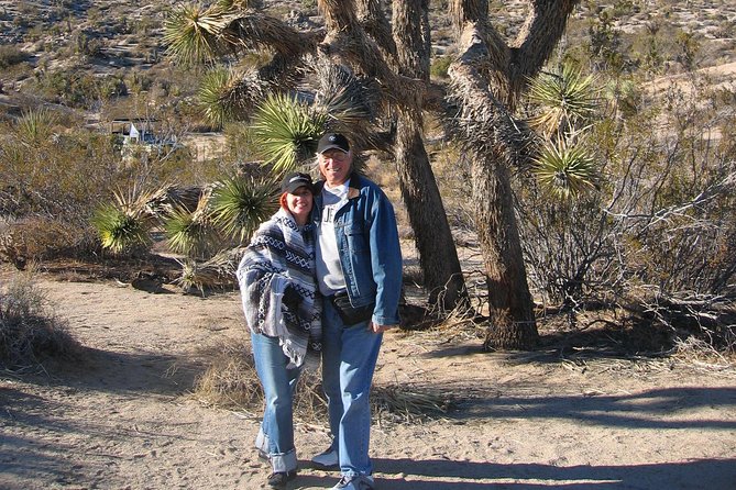 Joshua Tree National Park Scenic Tour - Barker Dam Trail: Petroglyphs, Cowboy Water, and Wildlife at a Drinking Spot