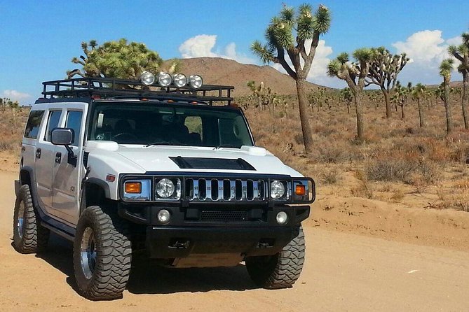 Joshua Tree National Park Scenic Tour - Pickup, Van Comfort, and the Realistic Half-Day Pace