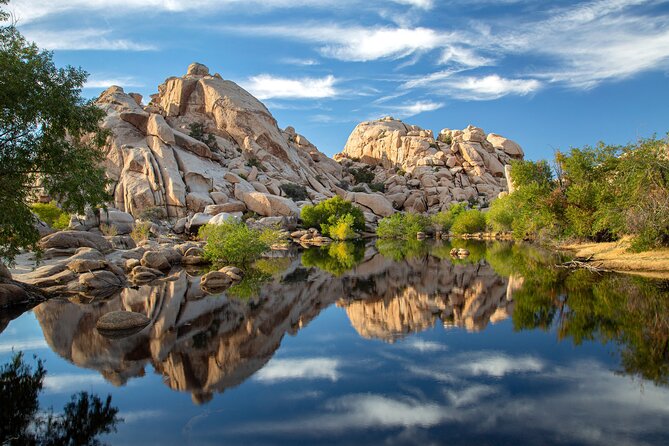 Joshua Tree National Park Self-Guided Audio Tour - Stop-by-stop: from palm oases to rock formations (and how to do each well)
