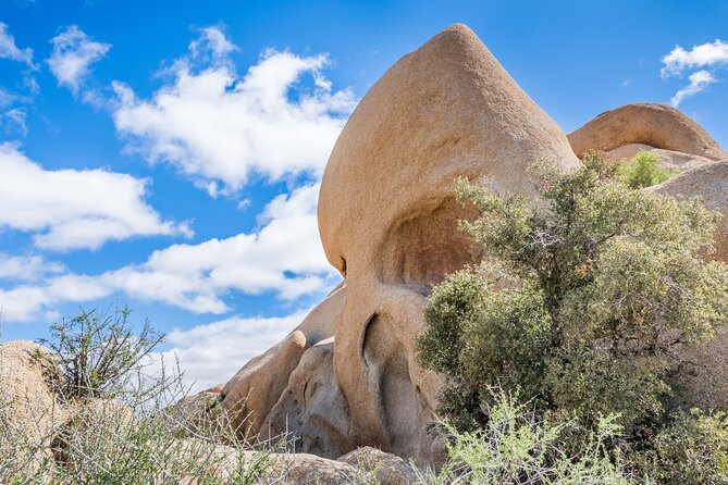 Joshua Tree National Park Self-Guided Audio Tour - Who this tour fits best