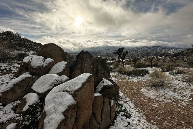 Joshua Tree National Park Self-Guided Driving Audio Tour - The one logistics step that decides your whole day