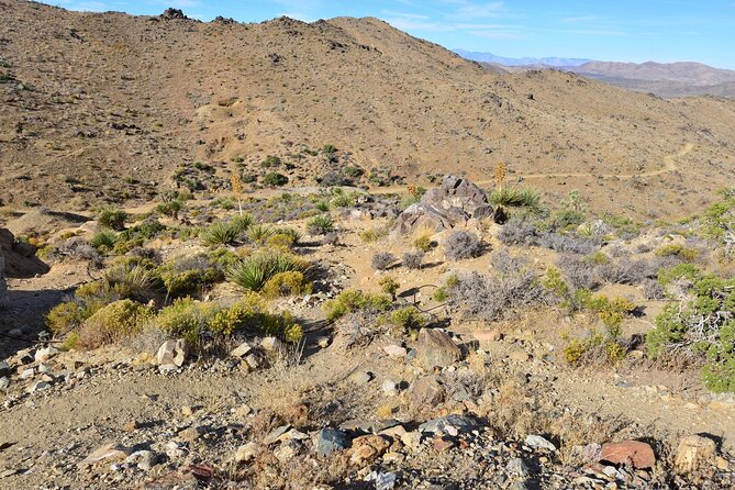 Joshua Tree National Park Self-Guided Driving Audio Tour - The drive from Joshua Tree Visitor Center to Oasis