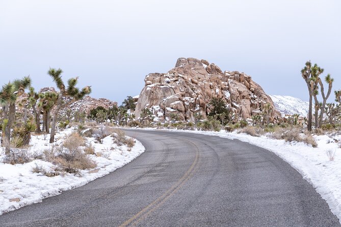Joshua Tree National Park Self-Guided Driving Audio Tour - Car audio setup: hands-free, less fumbling, more looking