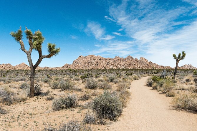 Joshua Tree National Park Self-Guided Driving Audio Tour - Who should book this audio tour?