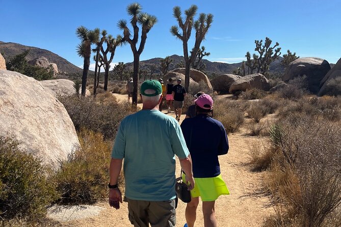 Joshua Tree National Park Sightseeing Adventure Tour - Key highlights you’ll feel on this tour