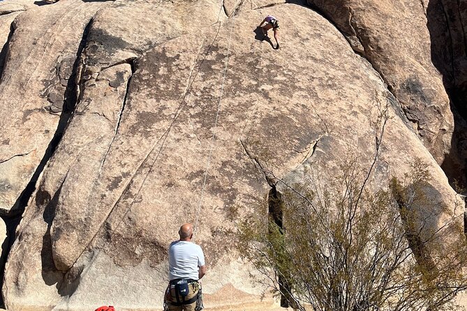 Joshua Tree National Park Sightseeing Adventure Tour - A simple plan for seeing Joshua Tree’s best rock moments