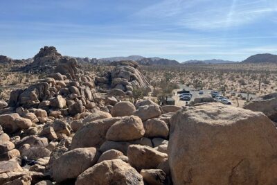 Joshua Tree National Park Sightseeing Adventure Tour - Price and what’s actually included in the $99 value