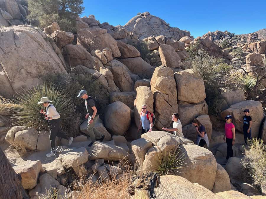 Joshua Tree National Park Tours | Private Tour (Max 10) - Why This Private Joshua Tree Tour Works So Well