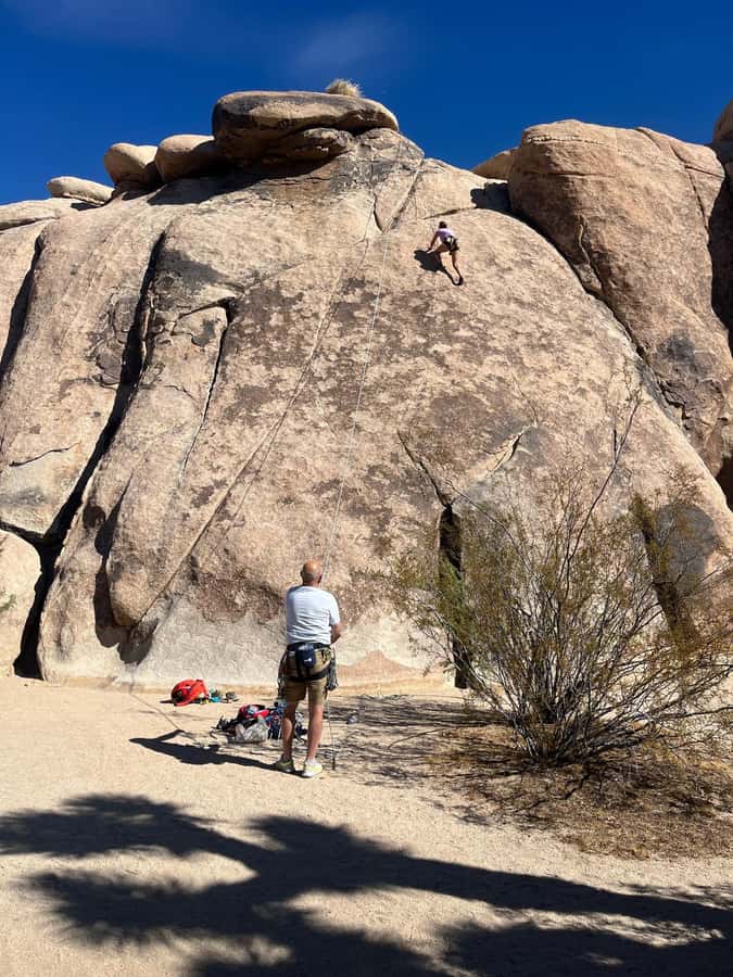 Joshua Tree National Park Tours | Private Tour (Max 10) - Who This Tour Suits Best