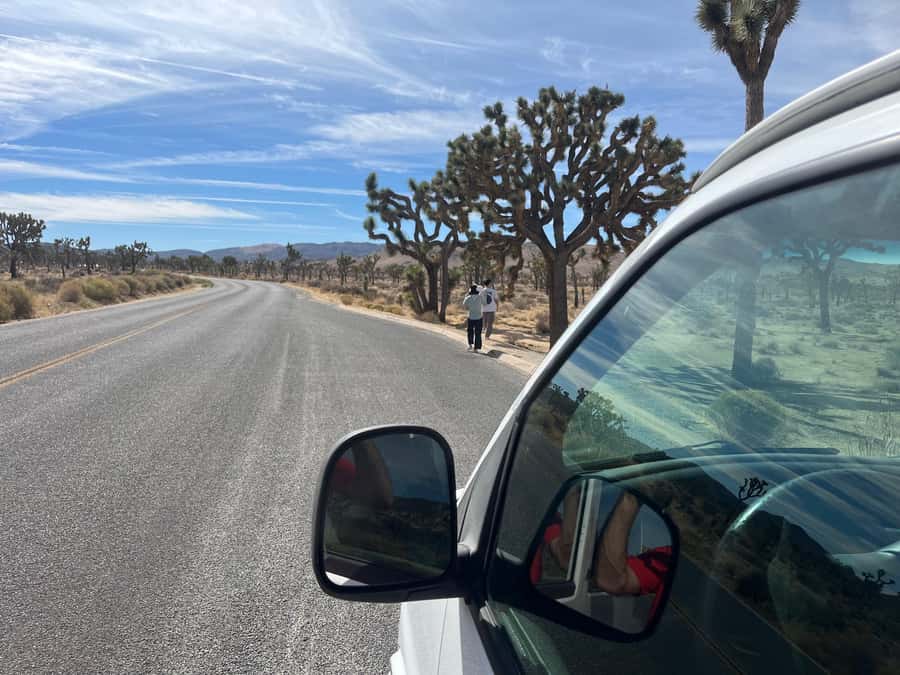 Joshua Tree National Park Tours | Private Tour (Max 10) - The Palm Springs Ride: Comfort Plus Time Back