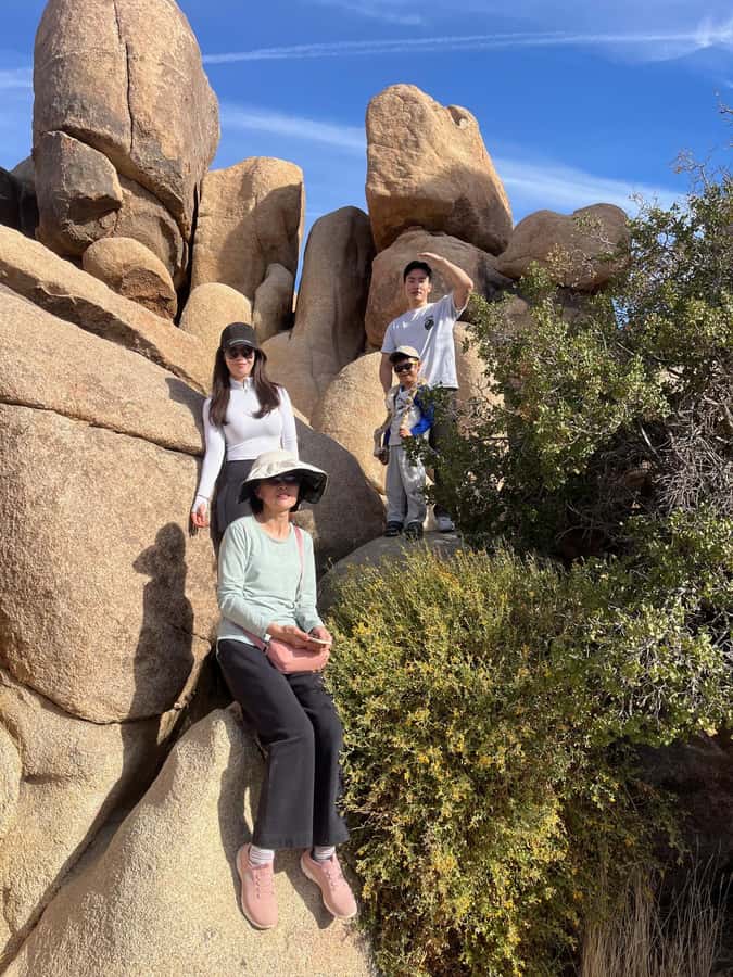 Joshua Tree National Park Tours | Private Tour (Max 10) - Banana Cracks Mediation and Nature Trail: Quiet, Weird, and Memorable
