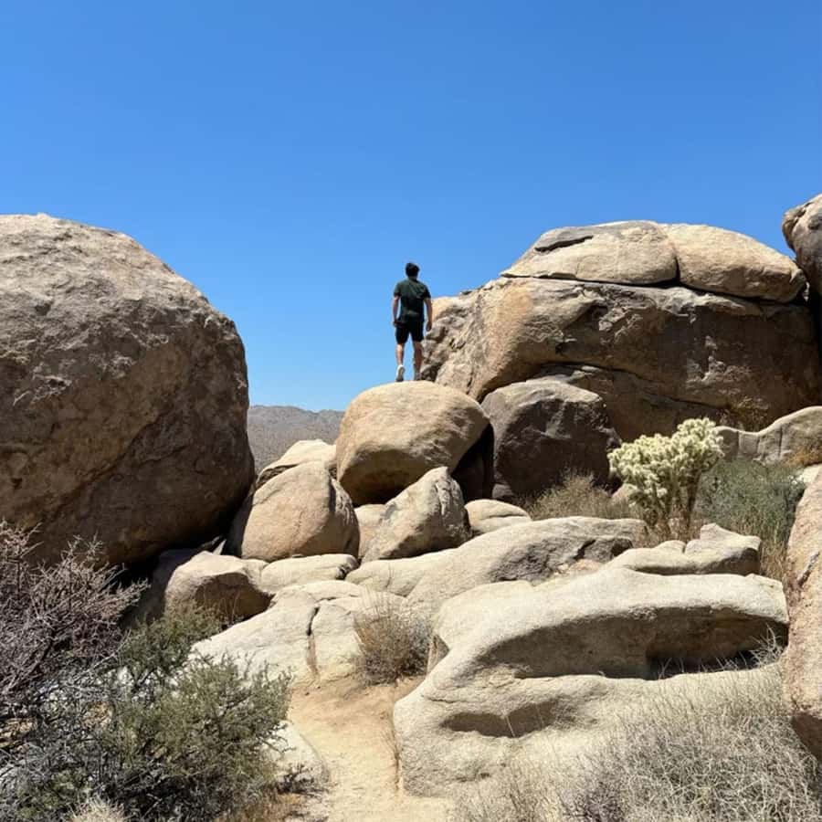 Joshua Tree National Park Tours | Private Tour (Max 10) - How Long Is This Really, and What’s the Pace Like?