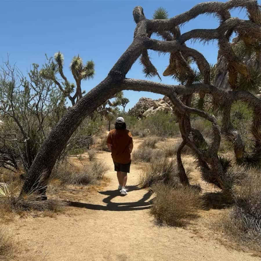 Joshua Tree National Park Tours | Private Tour (Max 10) - What’s Included (and Why That Makes a Desert Day Easier)