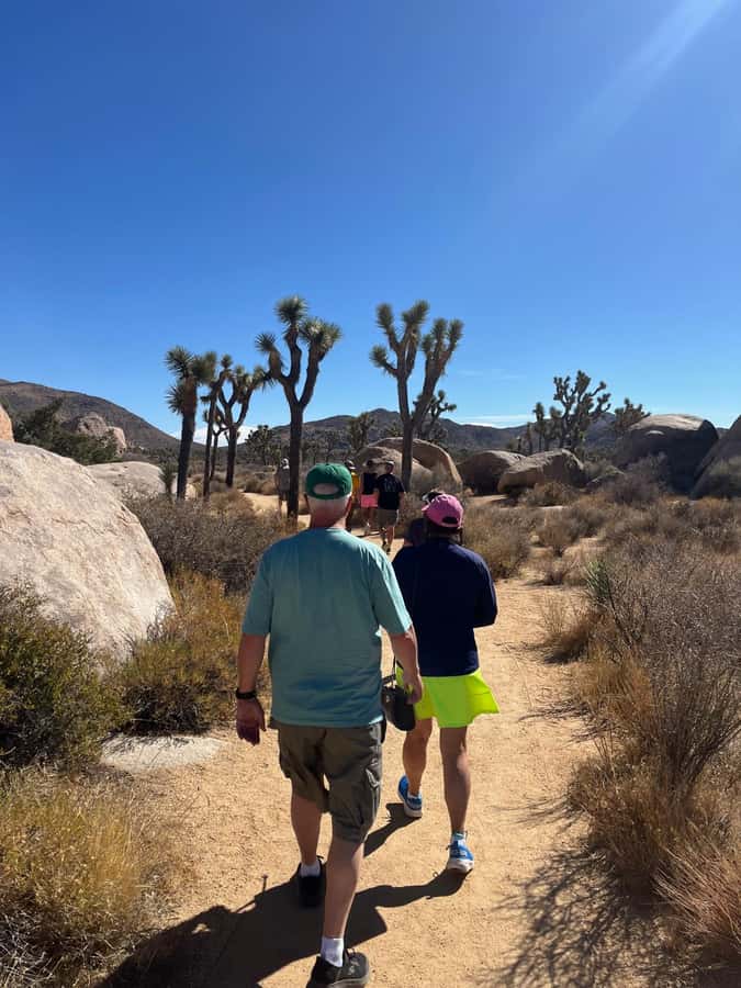 Joshua Tree National Park Tours | Private Tour (Max 10) - Hidden Valley Nature Trail: A Gentle Start With Real Payoff