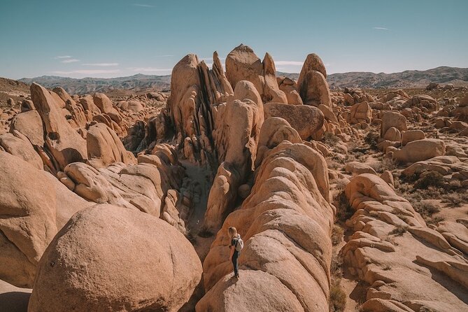 Joshua Tree NP Tour from San Diego (Private) - The Big Picture: What a Private Joshua Tree Day Really Means