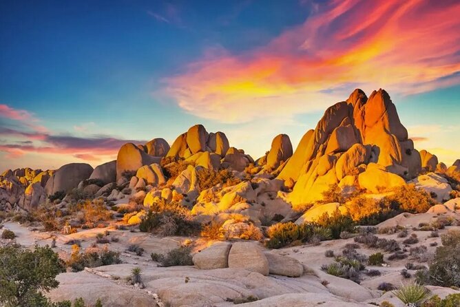 Joshua Tree NP Tour from San Diego (Private) - Price and Value: $985 per Group Can Be a Good Deal, If the Math Works