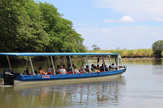 Jungle Cruise at Palo Verde National Park - A morning river safari from Playa Hermosa to Palo Verde