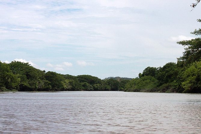 Jungle Cruise at Palo Verde National Park - Timing, comfort, and what to pack (so the day stays fun)