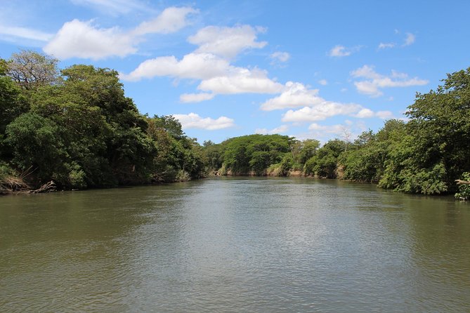 Jungle Cruise at Palo Verde National Park - Price and value: is $135 per person worth it?