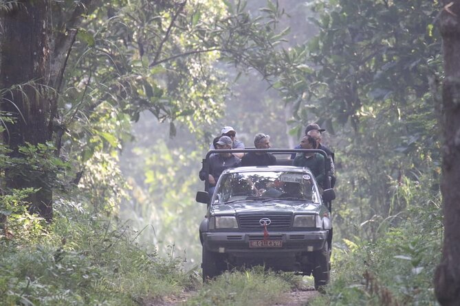 Jungle Towernight Stay: 4-Day Tour in Chitwan National Park - Guides Who Can Spot What You’d Miss (Names to Know)