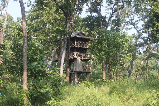 Jungle Towernight Stay In Chitwan National Park ,nepal-2 Nights 3 Days Package - Key Takeaways Before You Go