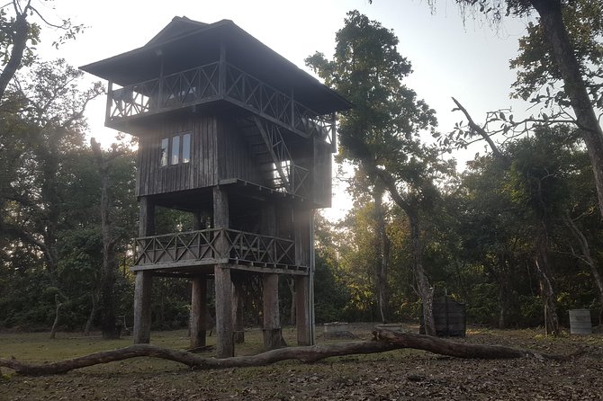 Jungle Towernight Stay In Chitwan National Park ,nepal-2 Nights 3 Days Package - Season Choice: Winter Tends to Feel Better