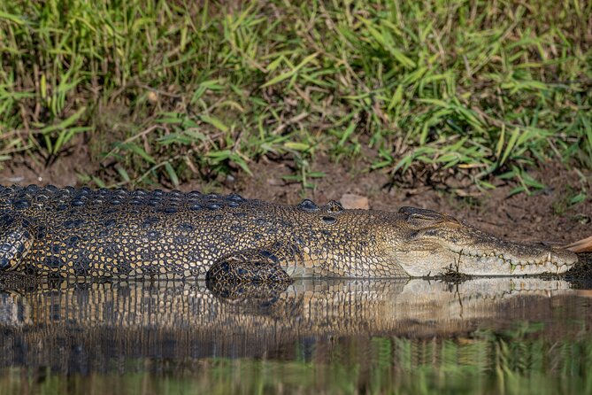 Kakadu National Park Evening Tour + Yellow Water Sunset Cruise - Corroboree Park Tavern stop: a quick fuel break without slowing you down