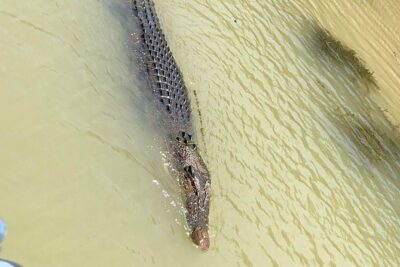 Kakadu National Park Scenic Flight &Yellow Water Cruise - Stop 1: Adelaide & Mary Rivers to Yellow Waters at Cooinda