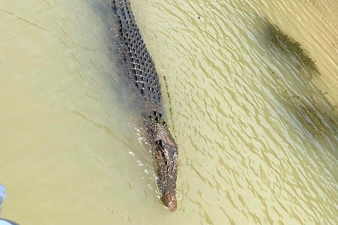 Kakadu National Park Scenic Flight &Yellow Water Cruise - Stop 1: Adelaide & Mary Rivers to Yellow Waters at Cooinda