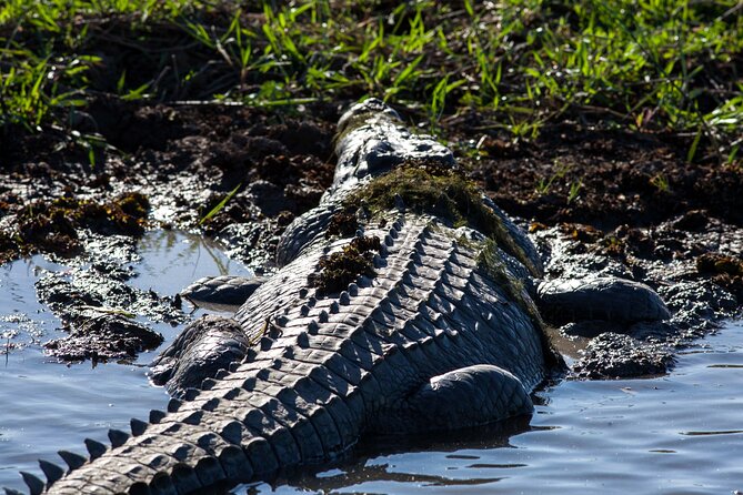 Kakadu National Park Wildlife & Ubirr Rock Art Tour from Darwin - Key moments worth knowing before you go