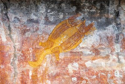 Kakadu National Park Wildlife & Ubirr Rock Art Tour from Darwin - Fogg Dam Conservation Reserve: birds first, then the bigger country