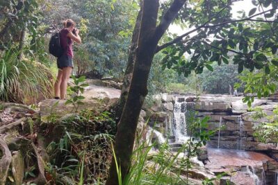 Kampot Day Tour "Bokor National Park" - From Kampot at 8:00 AM: tuk tuk timing that fits a half-day