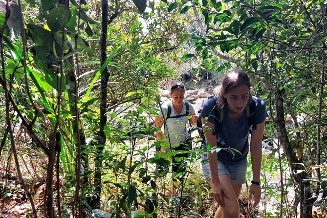 Kampot Day Tour "Bokor National Park" - Wat Sampov Pram: hilltop temple views and a stair workout