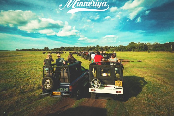 Kandy - Minneriya National park & Sigiriya Rock by tuk tuk tours - Ayurvedic Village Time (and Optional Style Stops)