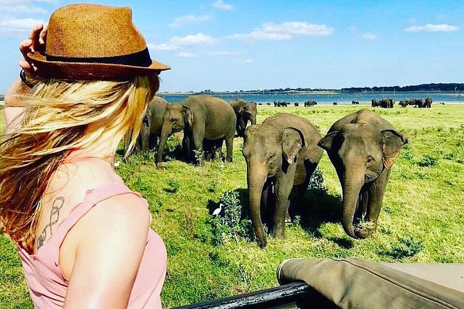 Kandy - Minneriya National park & Sigiriya Rock by tuk tuk tours - Sigiriya Rock Visit: Iconic Views, Real Effort