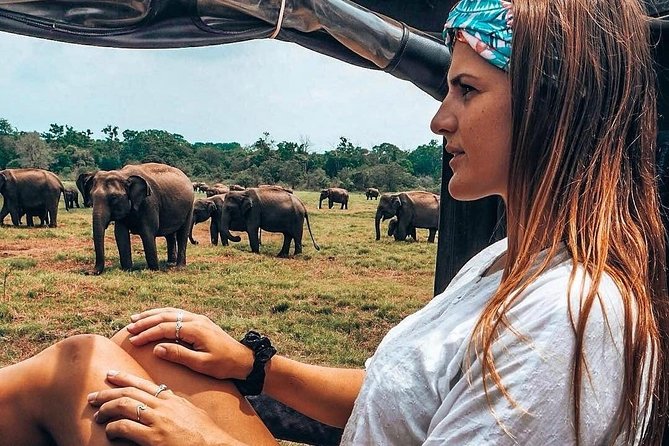 Kandy - Minneriya National park & Sigiriya Rock by tuk tuk tours - Minneriya Jeep Safari: Elephants Are the Headline