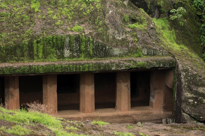 Kanheri Caves and Sanjay Gandhi National Park - Kanheri Caves: 109 Rock-Cut Monuments and Buddhist Art in the Trees