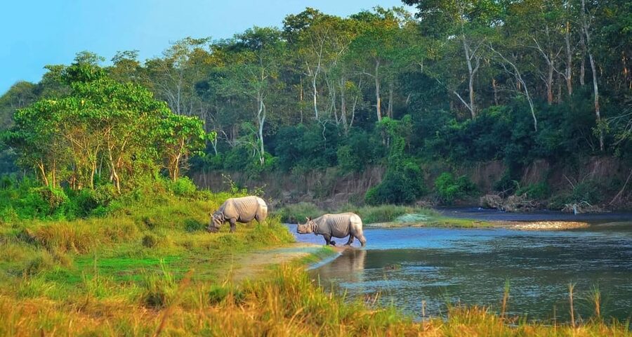 Kathmandu: 4-Day Private Chitwan National Park Safari Tour - Key highlights worth planning around