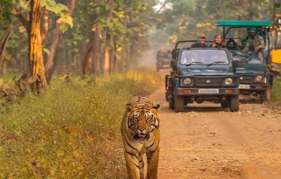 Kathmandu: 4-Day Private Chitwan National Park Safari Tour - Why Chitwan Works So Well for a Short Break
